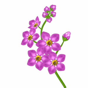 flower-clipart-transparent-background-a-purple-flower-with-yellow-centers