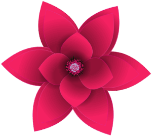 flower-clipart-transparent-background-a-red-flower-with-black-background