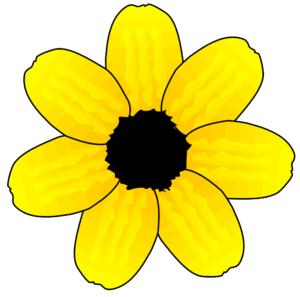 flower-clipart-transparent-background-a-yellow-flower-with-black-background