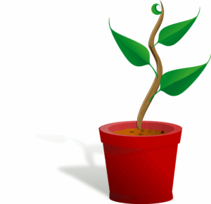 flower-pot-clipart-a-small-plant-in-red-pot
