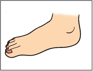 foot-clipart-a-foot-with-toe