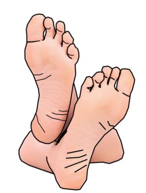 foot-clipart-a-pair-of-feet-with-toes