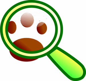 footprint-clipart-a-magnized-green-icon-with-dog-s-paw