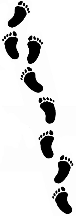 footprint-clipart-footprints-clipart-free