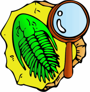 fossil-clipart-a-magnized-leaf-with