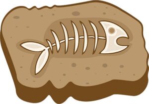 fossil-clipart-a-skeleton-fish-on-rock