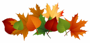 free-fall-clipart-a-bunch-of-colorful-autumn-leaves