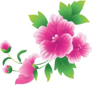 free-flower-clipart-a-pink-flower-with-green-leaves-on-white-background