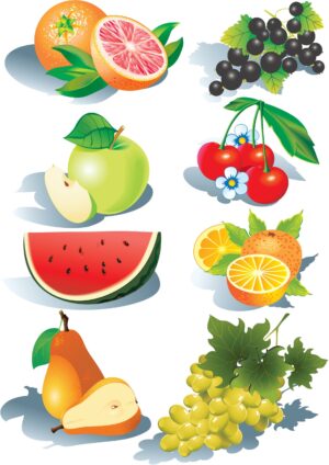 fruits-clipart-fruit-and-berries-vector