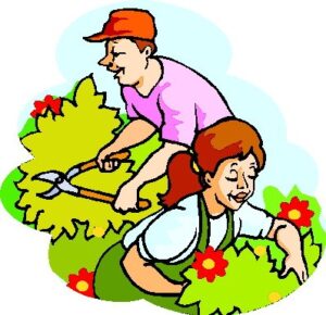 gardening-clipart-a-man-and-woman-are-picking-flowers