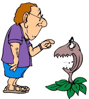 gardening-clipart-a-man-is-looking-at-plant-with-small-flower