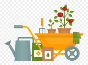 gardening-clipart-a-wheelbark-wheel