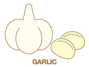 garlic-clipart-a-pumpkin-and-half-of