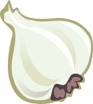 garlic-clipart-a-white-onion-with-brown-bow