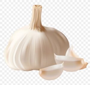 garlic-clipart-garlic