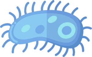 germ-clipart-a-blue-bacteria-with-long-thin-body
