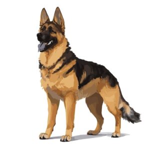 german-shepherd-clipart-a-dog-standing-on-white-background