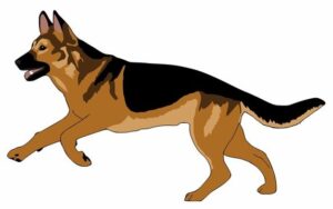 german-shepherd-clipart-a-german-shepherd-dog-running