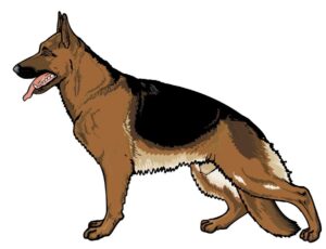 german-shepherd-clipart-german-shepherd-dog-clipart