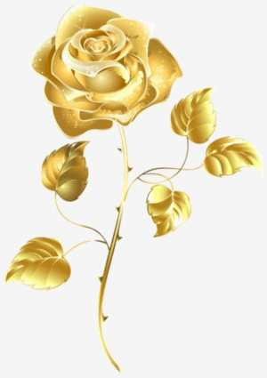 gold-clipart-a-gold-rose-flower-transparent-transparent-png