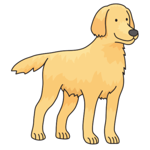 golden-retriever-clipart