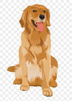 golden-retriever-clipart-golden-retrieve