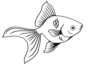 goldfish-clipart