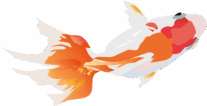 goldfish-clipart-a-fish-with-red-and-white-tail