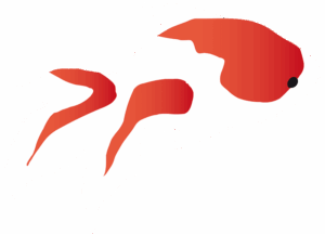 goldfish-clipart-a-fish-with-red-tail