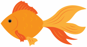 goldfish-clipart-a-goldfish-with-black-background