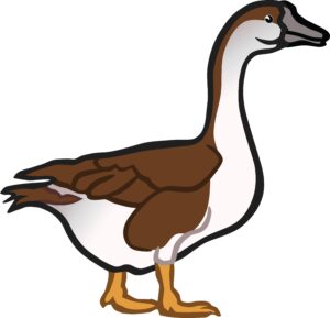goose-clipart-a-duck-with-brown-and-white-feathers
