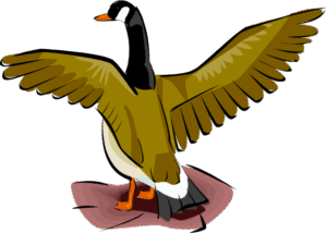 goose-clipart-a-duck-with-its-wings-spread-out