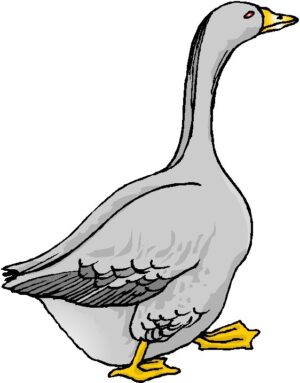 goose-clipart-a-goose