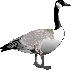 goose-clipart-a-goose-standing-on-black-background