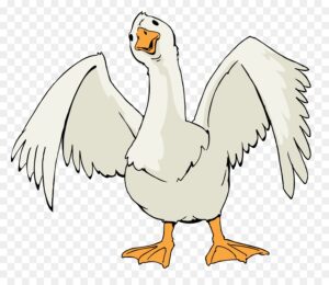 goose-clipart-a-white-chicken-with-orange-beak-and-wings-clipart