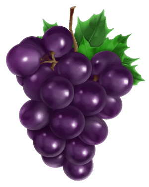 grape-clipart-a-bunch-of-grapes-with-green-leaves