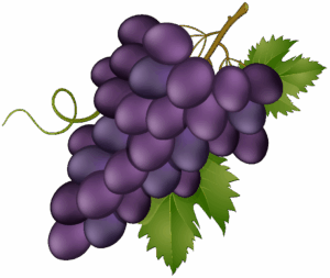 grape-clipart-a-bunch-of-grapes-with-green-leaves-two