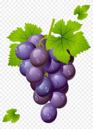 grape-clipart-grapes-clipart-two