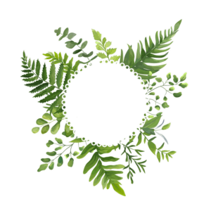 greenery-clipart-a-circle-made-of-green-leaves-and-berries