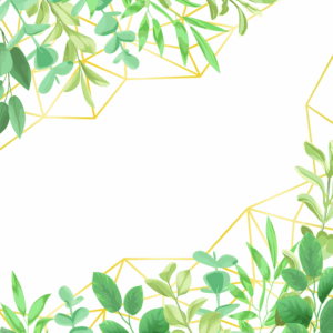 greenery-clipart-a-frame-with-green-leaves-on-white-background