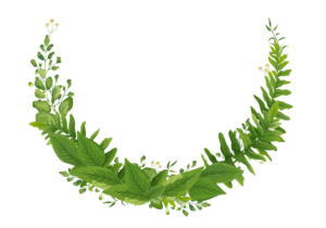 greenery-clipart-a-green-wreath-with-leaves-and-flowers