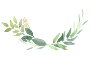 greenery-clipart-a-watercolor-painting-of-branch-with-leaves