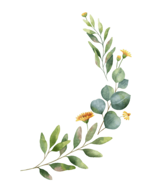 greenery-clipart-a-watercolor-painting-of-branch-with-yellow-flowers