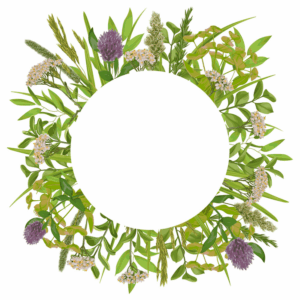 greenery-clipart-a-wreath-made-of-green-leaves-and-flowers