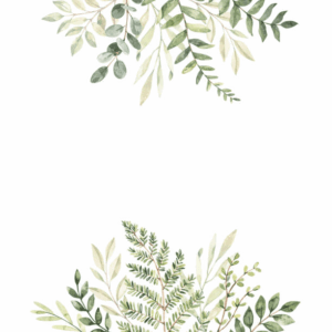 greenery-clipart-watercolor-eucalyptus-leaves-and-branches