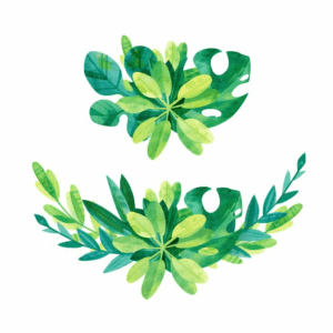 greenery-clipart-watercolor-green-leaves-on-a-white-background