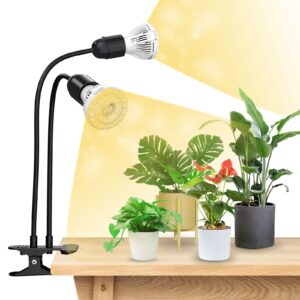 growth-clipart-a-desk-lamp-with-pot-of-plants