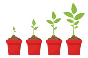 growth-clipart-a-row-of-red-pots-with-young-plants-growing-in-them