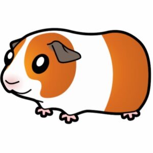 guinea-pig-clipart-a-guinea