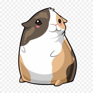 guinea-pig-clipart-guinea